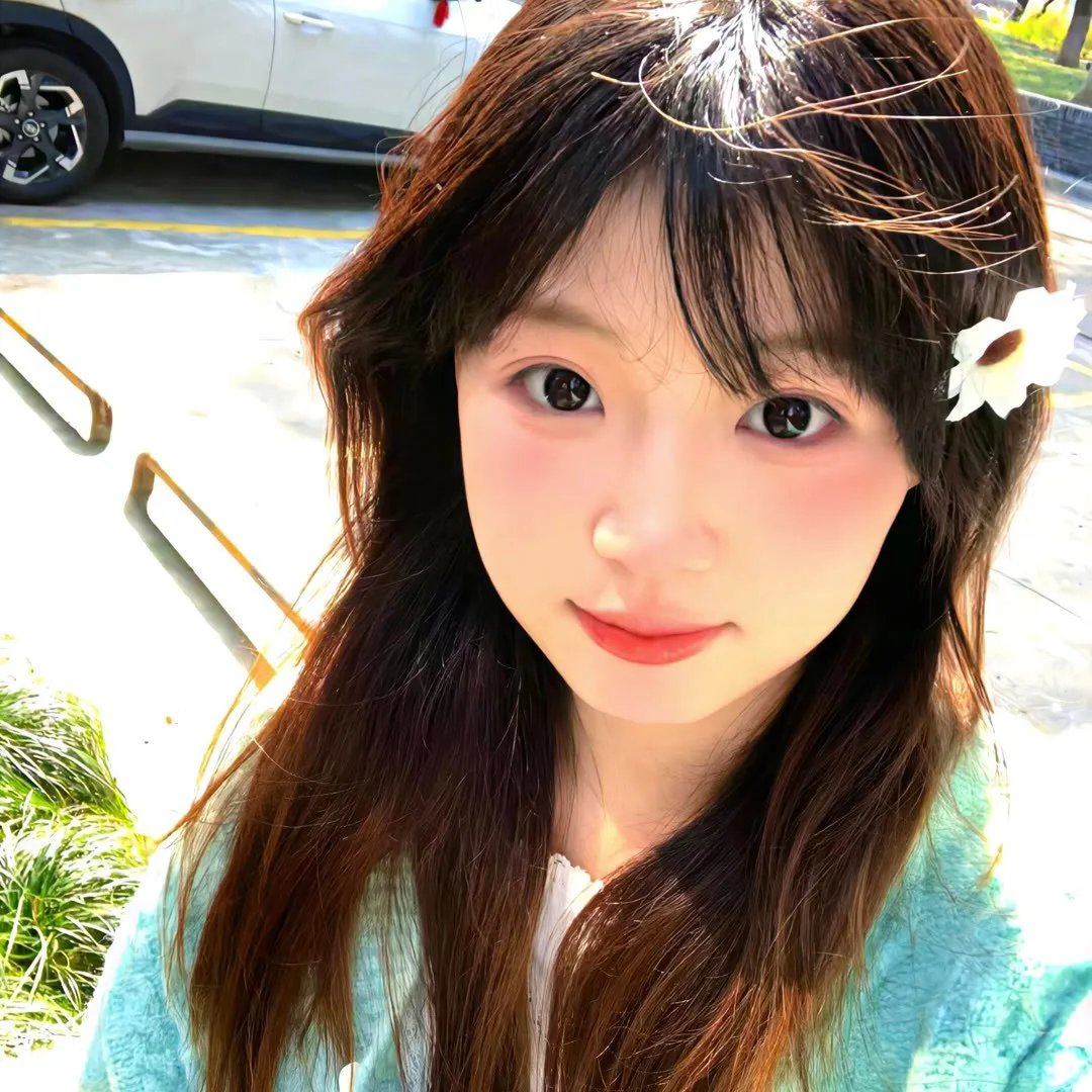 虎尾兰之梦