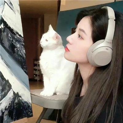 好奇害死猫
